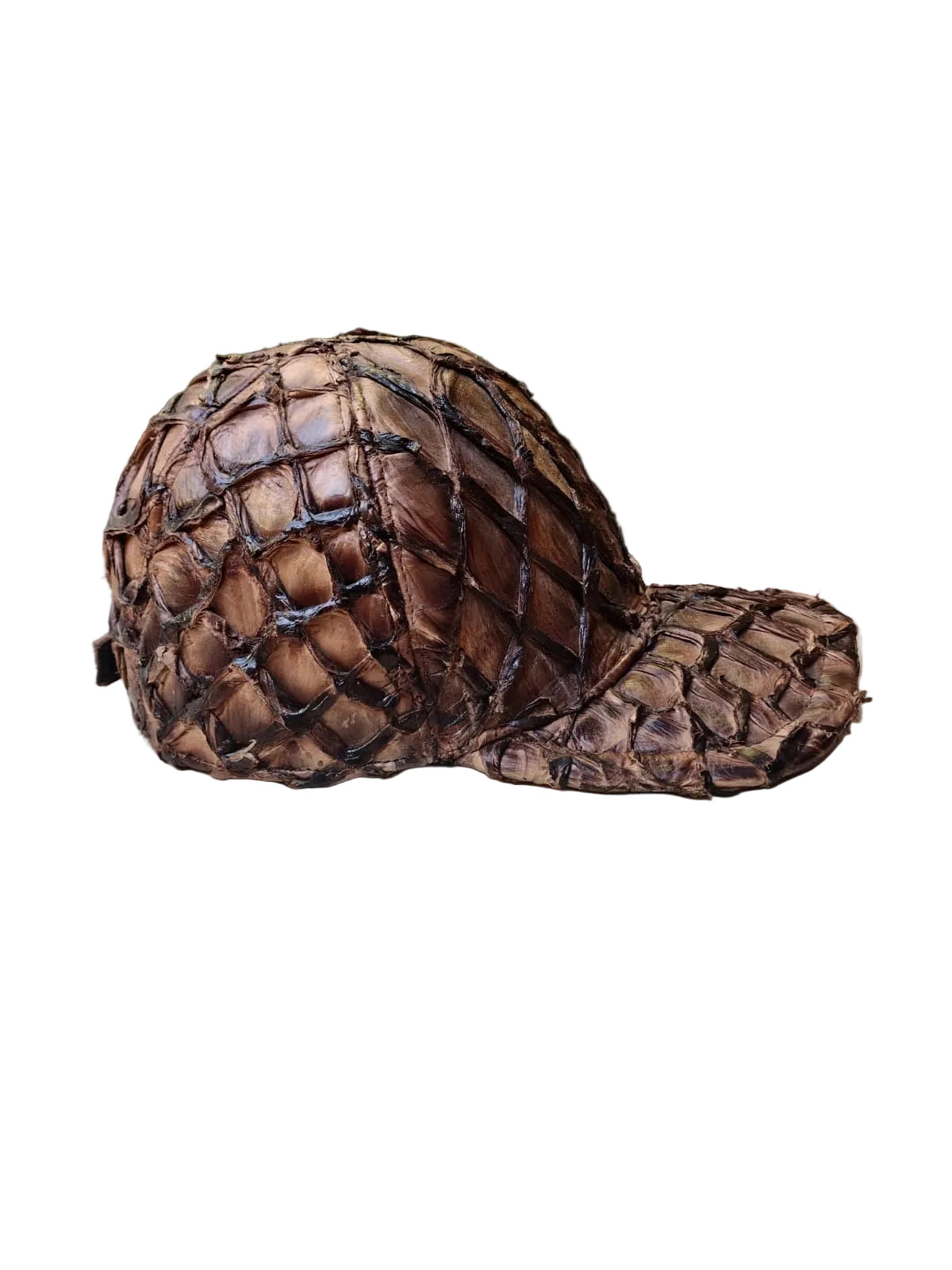 Pirarucu Chocolate