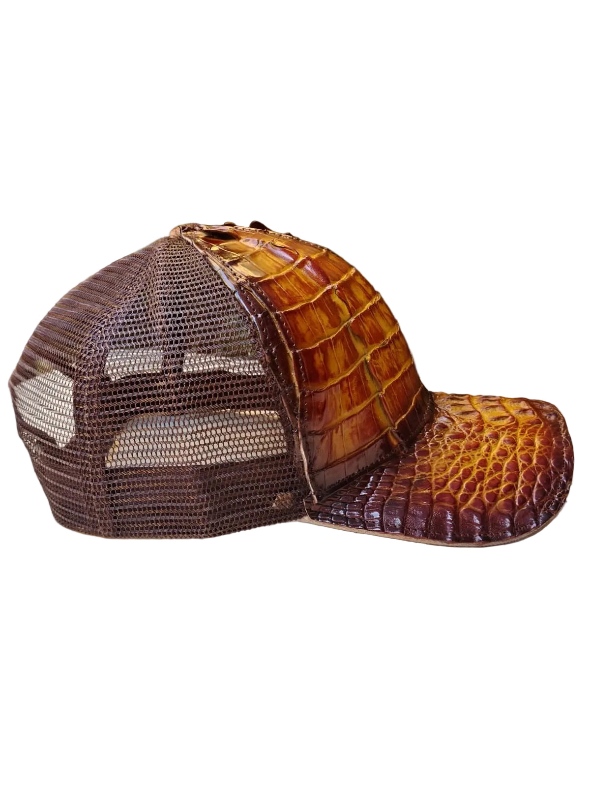Malla Lagarto Sombreado