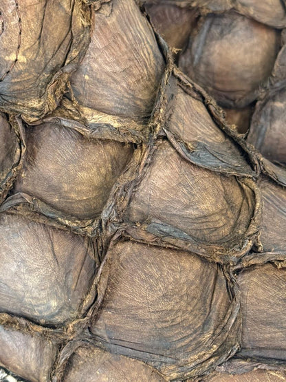 Bota Pescado Pirarucu Clásico